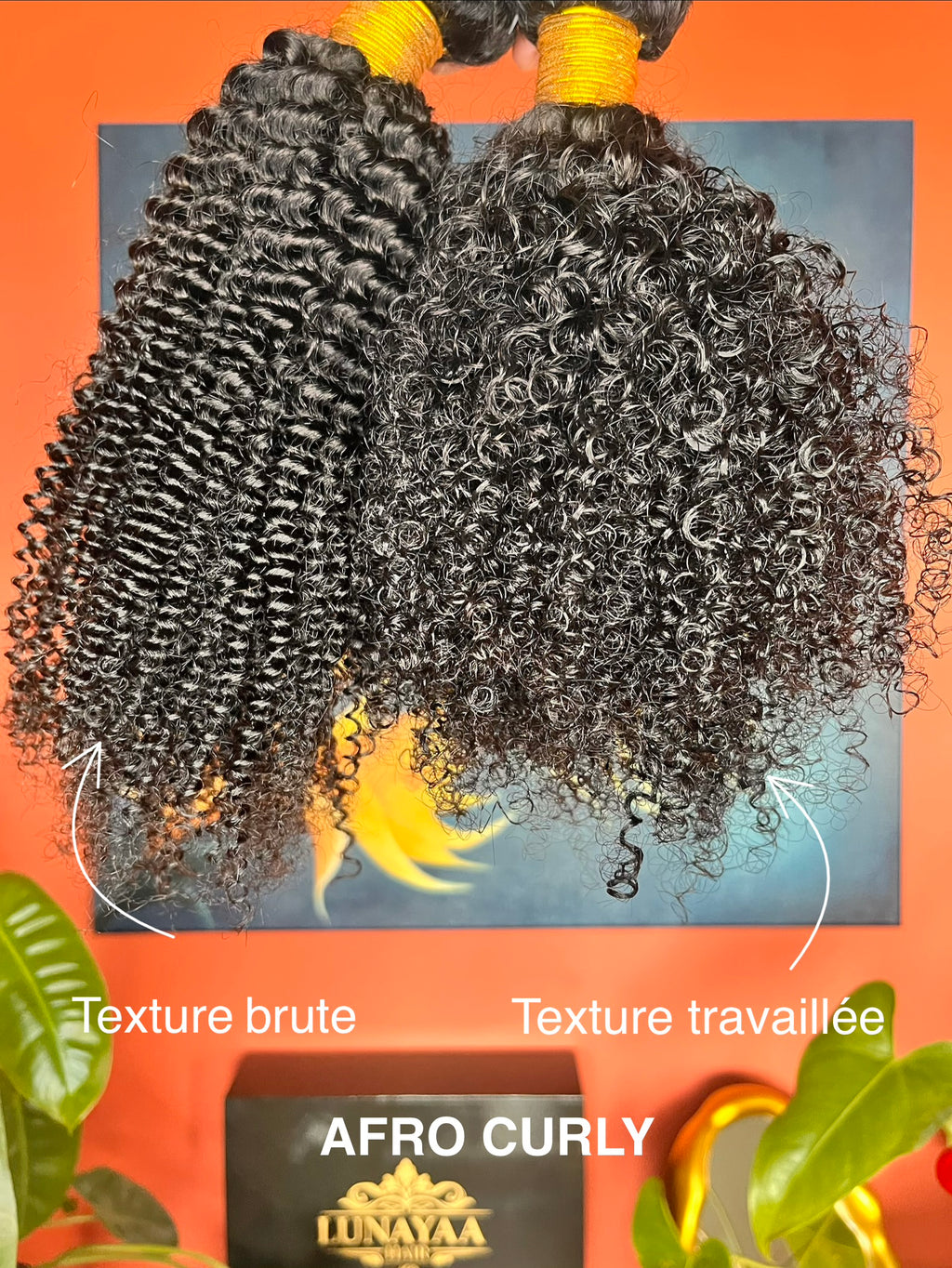 - AFRO CURLY - à partir de 85,50€