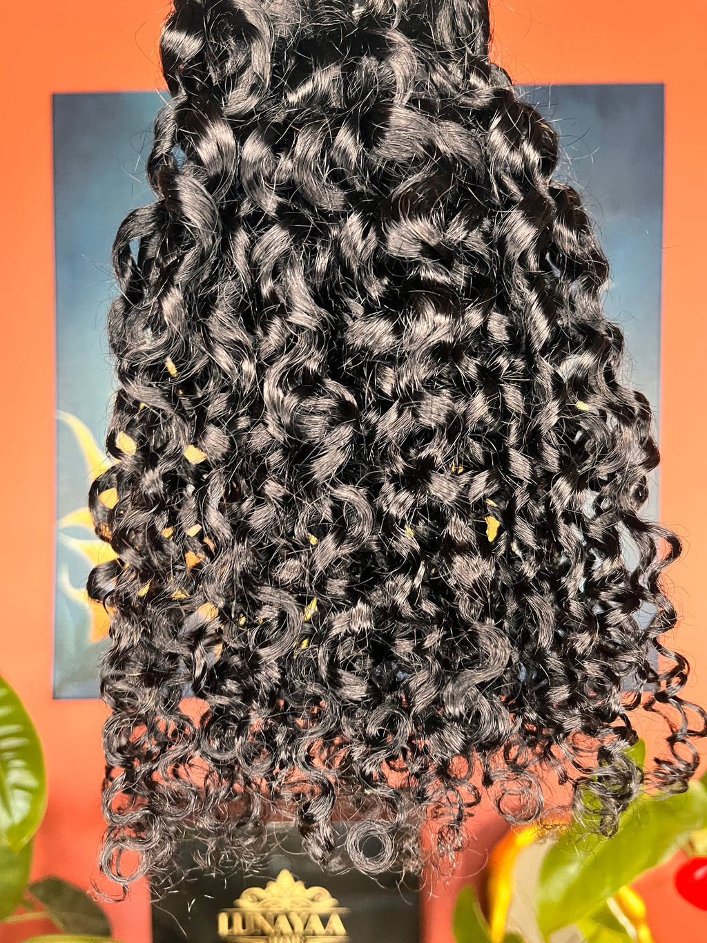 PIXIE CURLY - à partir de 87,00€