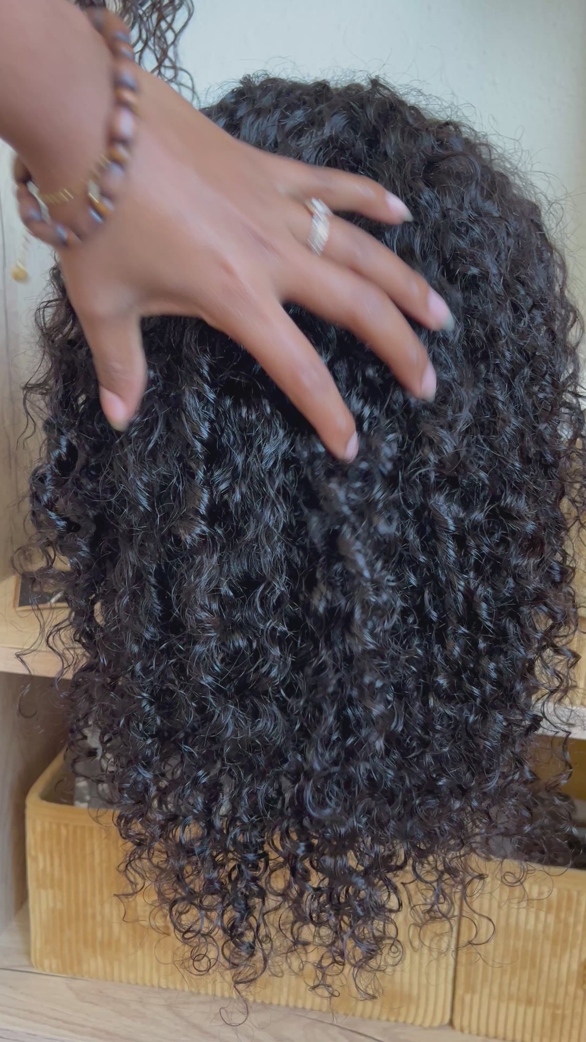 - KIM - Burmese Curly - à partir de 239,00€